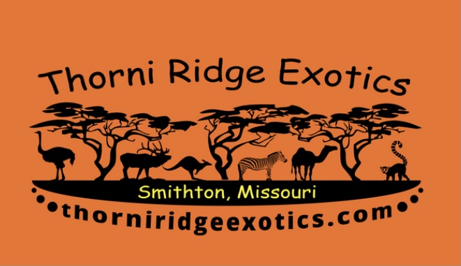 Thorni Ridge Exotics